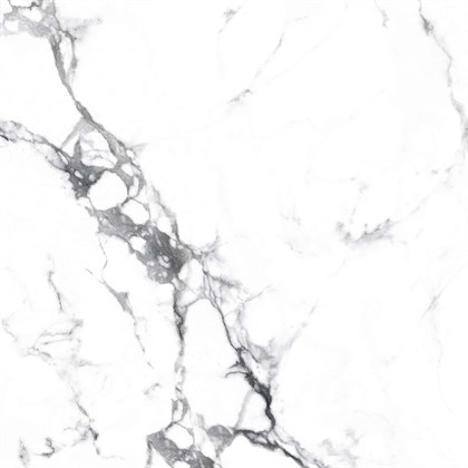 BORGHINI SILVER - фото 146809