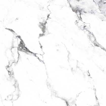 BORGHINI SILVER - фото 146813