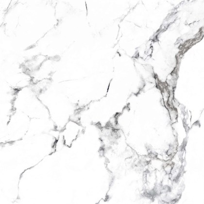 BORGHINI SILVER - фото 146814