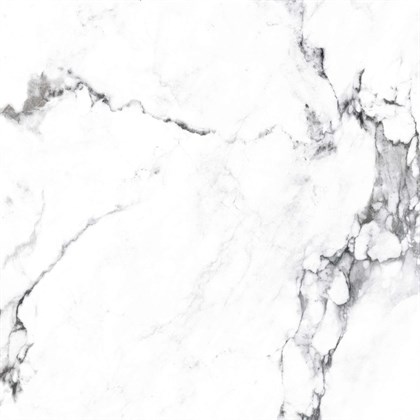 BORGHINI SILVER - фото 146816