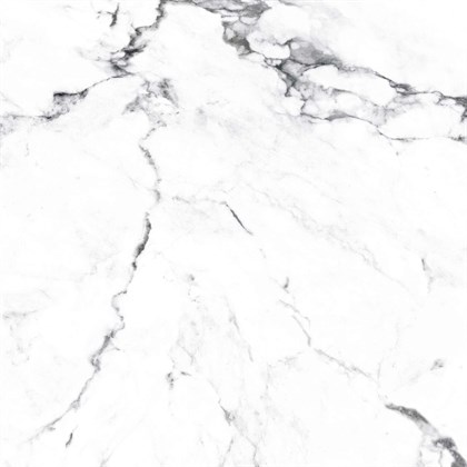 BORGHINI SILVER - фото 146821