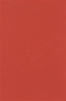 Плитка Minimal Rojo DS71 25*38 - фото 22558