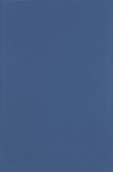 Плитка Minimal Azul DS70 25*38