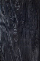 Агама черная Плитка настенная 06-01-04-156 20х30 (Питер) 