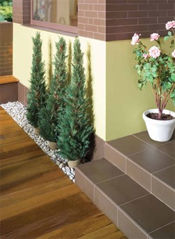 Simple Brown 3d 30x30  - фото 29255