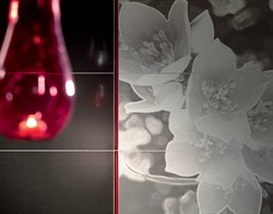 Coll Бордюр glass red 59,8х1,5 - фото 29502