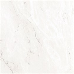 Bianco Carrara 59.6x59.6 - фото 44336