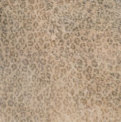 Leopard 45*45 - фото 47680