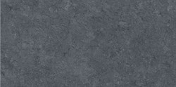 DL501300R Роверелла серый темный обрезной 119,5x60 - фото 49173