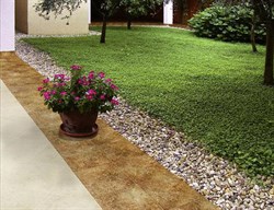 В интерьере