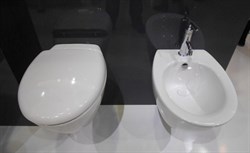 Биде подвесное Jacob Delafon Presquile E4441 - фото 59138