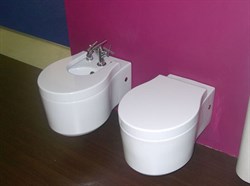 Биде подвесное Jacob Delafon Formilia Viragio E4774-00 - фото 59152