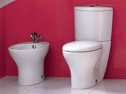 Биде напольное Jacob Delafon Presquile E1348 - фото 59183