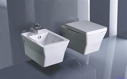 Унитаз подвесной Jacob Delafon Reve E4811 - фото 59471