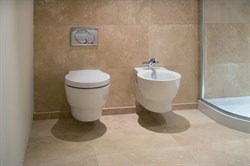 Унитаз подвесной Jacob Delafon Ove E1585 - фото 59477