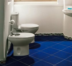 Биде напольное Roca Victoria 357390000 с крышкой - фото 64810