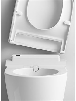 Унитаз подвесной Roca Inspira In-Wash 803060001 - фото 66825