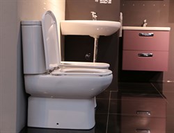 Унитаз-компакт Roca Dama Senso Compacto 342518000 - фото 67179