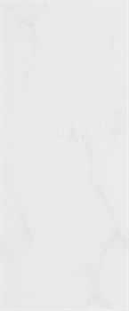 Плитка Forza Calacatta White Wall 01 25х60 - фото 78611