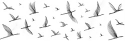 Вставка Elegance птицы белый 25х75 - фото 79042
