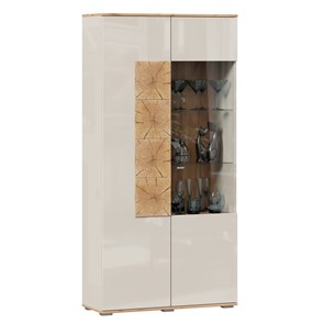 Шкаф двухстворчатый со стеклом 920 Фиджи (левый Дуб Золотой/Кашмир)