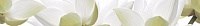 City White Lilies listwa Бордюр 6,5х50 