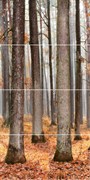 Decor Forest Панно (из 4х пл) 140x70 