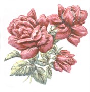 TFA012 Декор Оранжерея Розы