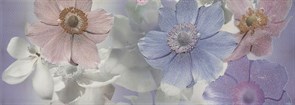 Creation Violet Flor 1 (Rect) 90*31.6