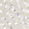 Декор Vitra Marble-Beton Круговой Светлый Лаппато Ректификат 60х60 - фото 110587 Декор Vitra Marble-Beton Круговой Светлый Лаппато Ректификат 60х60 - фото 110587