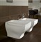 Унитаз подвесной Villeroy & Boch La Belle 562710R1 - фото 116458 Унитаз подвесной Villeroy & Boch La Belle 562710R1 - фото 116458