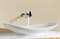 Раковина Villeroy & Boch My Nature 4110 60R1 - фото 116625 Раковина Villeroy & Boch My Nature 4110 60R1 - фото 116625