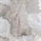 REX ONYX BLUE - фото 145288