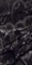 ONYX BLACK - фото 145468