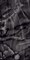 ONYX BLACK - фото 145469