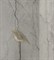 CONDOR LIGHT GREY - фото 146123