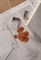 BORGHINI SILVER - фото 146805