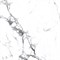 BORGHINI SILVER - фото 146809