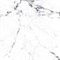 BORGHINI SILVER - фото 146821