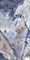 BERGAMO BLUE - фото 146855