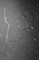 EQUISTONE CHARCOL - фото 147094