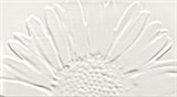Colour White Декор Sunflower 59,3х32,7 