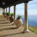 Hojas Marble Керамогранит 32,5х32,5  - фото 32221