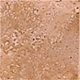 Bottone Marmo Scabos 4.8x4.8 - фото 40824