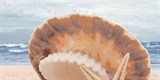 Аликанте декоративный массив Жемчужина на море (верх) 25х50 - фото 43541