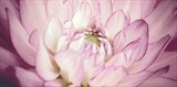 Плитка Sorenta mocca durst kwiaty В Декор 30x60 - фото 48568