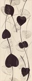 Oxia Silver ins. 20*50 - фото 50655