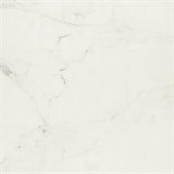 Плитка MMGM Allmarble Altissimo 60*60 - фото 50975