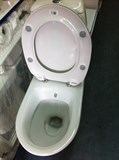 Унитаз-компакт Vitra Grand 9763B003-1206 с функцией биде - фото 58861 Унитаз-компакт Vitra Grand 9763B003-1206 с функцией биде - фото 58861